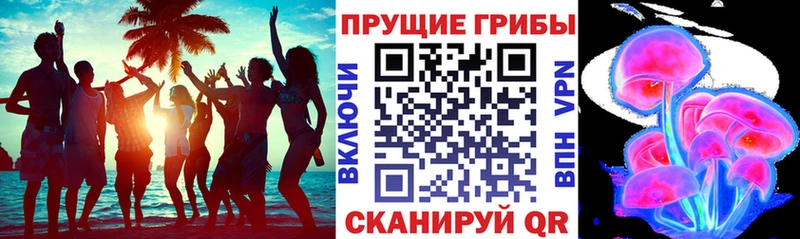 Псилоцибиновые грибы прущие грибы  Давлеканово 